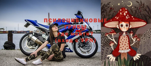 стафф Алексин