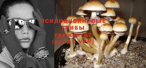 стафф Алексин